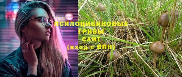 jwh Шадринск